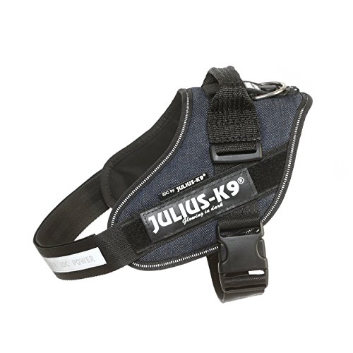 Julius K9 IDC Powerharness Harnais