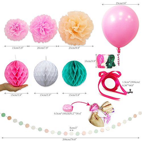 Eightnight Paper Craft Sets für DIY Party Dekorationen, Baby-Dusche, Festival einschließlich Circle Dot Girlanden, Tissue Papier Wabe Pom Pom Ball Laternen, Pom Pom Blumen, Bänder, Ballons - 6