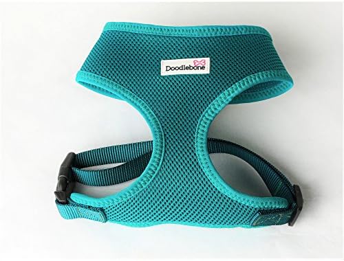 Doodlebone Mesh Dog Harness (Small) (Teal)