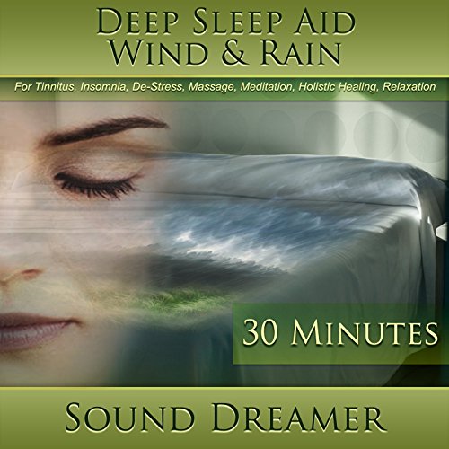 Wind & Rain (Deep Sleep Aid) [For Tinnitus, Insomnia, DeStress