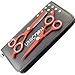 Produktbild Perfekter Friseurschere Set 6 Zoll mit 1 Haarschere und 1 Effilierschere profi rostfreier Qualitätsstahl ROT inkl Etui