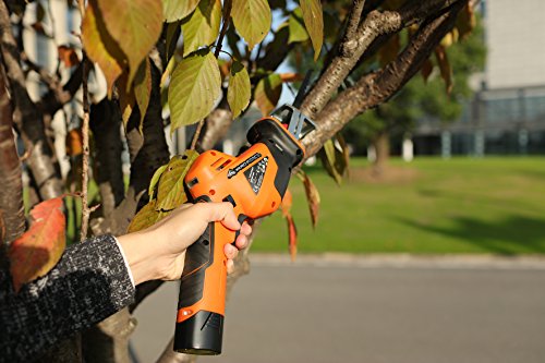 Yardforce Akku-Gartensäge GDGS12, inkl. 12V Li-Ion-Samsung-Akku, Ladegerät, inkl. 3 Klingen (1x Holz, 1x Metall, 1x Kunststoff), Schneidleistung: Holz bis 80mm, weiches Metall bis 7mm - 3