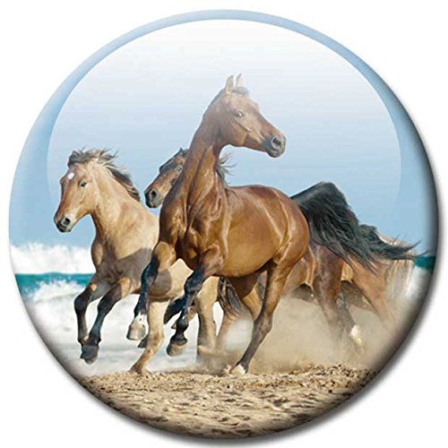 Magnettafel Pferd am Meer – Faszinierende Design Metall Magnettafel 60×40 cm – Pinnwand Memoboard mit Motiv: Pferd am Meer Ocean Horse – inkl. 6 Magnete Pferde am Meer Ocean Horses für Magnetwand – Original Magnetpinnwand GUMA Magneticum - 5