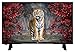 Produktbild JVC LT-43VF43A 110 cm (43 Zoll) Fernseher (Full HD, Triple Tuner, DVB-T2 H.265/HEVC)