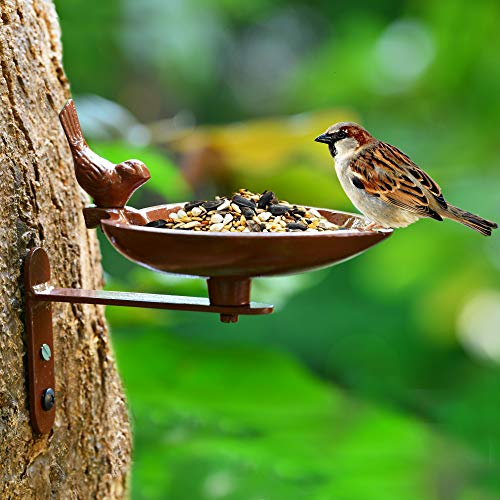 Best Bird Baths In India Review Shop