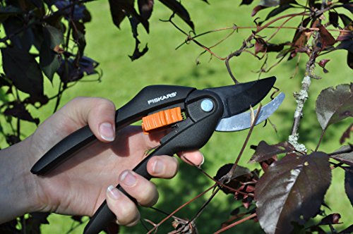 Fiskars Bypass-Gartenschere für frische Äste und Zweige, Antihaftbeschichtet, Hochwertige Stahl-Klingen, Länge 20 cm, Schwarz/Orange, SingleStep, P26, 1000567 - 4