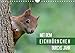 Mit dem Eichhörnchen durchs Jahr (Wandkalender 2019 DIN A4 quer): Eichhörnchen, über das ganze Jahr beobachtet und fotografiert (Monatskalender, 14 Seiten ) (CALVENDO Tiere) by 