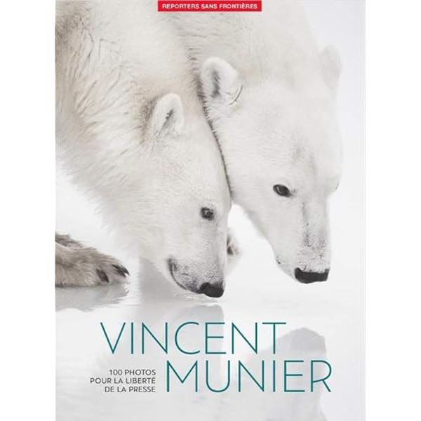 Amazon.fr - Arctique - Munier, Vincent - Livres