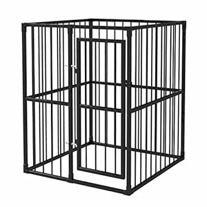 Festnight Perrera Exterior de Acero 120x120x150 cm