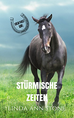 Stürmische Zeiten (Green Valley Serie, Band 12)
