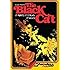 The Black Cat