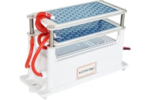 ATWFS Generador de ozono ionizador, Placas Cerámicas Integradas Adecuadas para Esterilizador de Aire Purificador de aire, Ozonizador (20G)