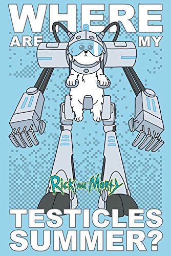 Rick And Morty Where are my testicles Póster multicolor