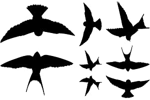 ‎SAMUNSHI Samunshi® Wandtattoo Vogelschutzaufkleber Schwalben-Set 30x20cm schwarz