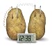 Toysmith 4 M Potato Clock # 4568
