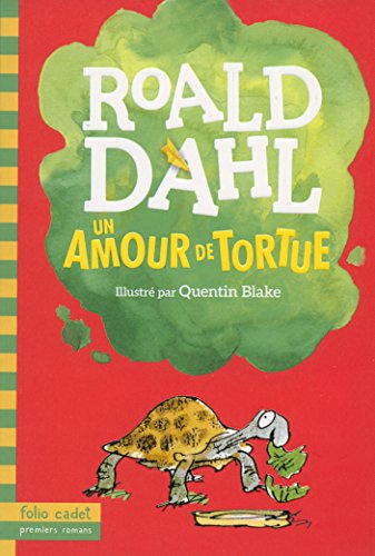 couverture de : Un amour de tortue