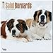 Saint Bernards 2014 - Bernhardiner: Original BrownTrout-Kalender [Mehrsprachig] [Kalender] by 