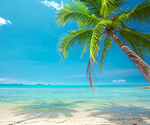 FOTOTAPETE PALM BEACH 300x250cm Wandbild Bildtapete Wanddekor Bordüre Riesenbild Kinder Wandtatoo Kinderzimmer Poster kids wall mural children wallpaper