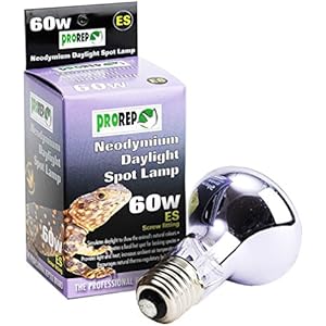 ProRep Tageslicht-Spot, Edisonschraube, Neodym, 60W