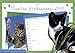 Familien-Wochenplaner Katzen 2010: Wochenkalender beidseitig bedruckt, mit Schulferien und Monatsübersichten by 