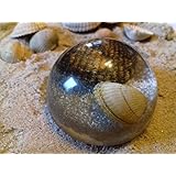 Halbkugel Spähre mit Sand und Muscheln in hochglanz/glasoptik 5cm Herzmuscheln am Strand