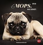 Mops Postkartenkalender - Kalender 2019 by