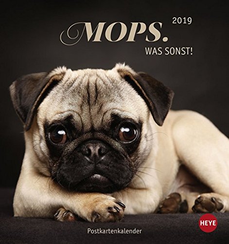 Mops Postkartenkalender - Kalender 2019