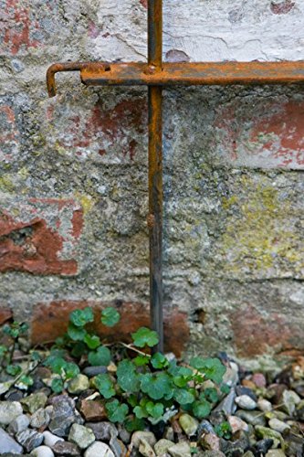 Beetzaun Metall Steckzaun Rost B: 70cm H: 130cm verlängerbar Metallzaun Zaun - 9