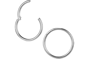 ZS 2Pcs ASTM F136 Titanium 6/7/8/9/10/12/14mm Cartilage Tragus Helix Earring Hoop 20G 18G 16G Lip Rings Nose Rings Septum Conch Piercings Jewellery