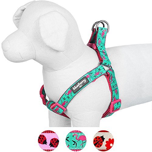 Blueberry Pet Step-in Pink Flamingo on Light Emerald No Pull Dog Harness, Small