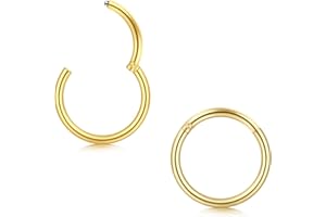 Longita Hinged Clicker Segment Hoop Nez Anneaux 16G Acier Chirurgical Septum Piercing Hoop Helix Cartilage Daith Tragus Boucle d'oreille pour Femme Homme Piercing Levre Nez Anneaux 3 Pièces