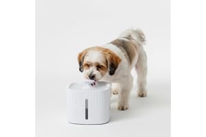Amazon Basics 3L Pet Water Fountain for Cats & Dogs | with LED Light | USB Powered | Dual Flow | Silent Pump | BPA-Free Food-Grade Material | White