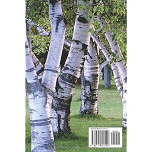 TRAVERSEZ LA RUE ET TROUVEZ DU... BOULEAU - 101 listes pour bien vous préparer: Cahier journal humoristique