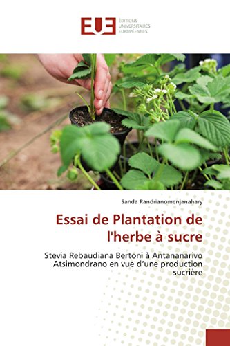 Essai de Plantation de l'herbe à sucre gratuit