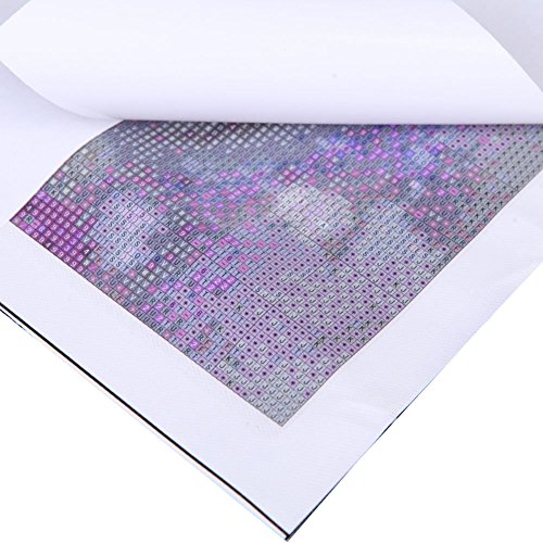 CHIC-CHIC DIY Diamant-Malerei handgemacht Ölgemälde rhinestone Bilder 5D Hauptdekoration Diamant-Stickerei (C) - 2