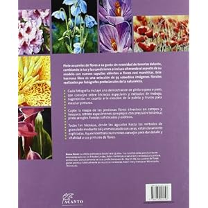 Pintar acuarelas de flores a partir de fotografías