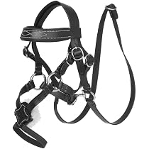 LeMieux Toy Pony Double Bridle - Mini Toy Pony Bridle