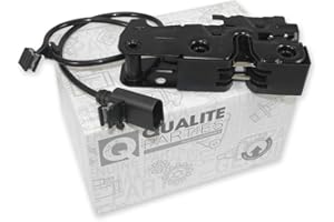 QUALITE PARTIES MOTORHAUBENSCHLOSS HAUBENSCHLOSS MOTORHAUBE HAUBE SCHLOSS