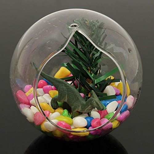Kungfull Mall Kugel Form Hängender Glas Vase Sukkulenten Micro Landschaft Eco Bottle - 5