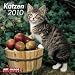 Katzen 2010. Broschürenkalender by
