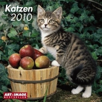 Katzen 2010. Broschürenkalender