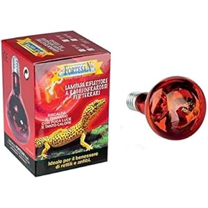 INFRARED Reflector–Lampe Infrarot Heizmatte, in verschiedenen Wattzahlen