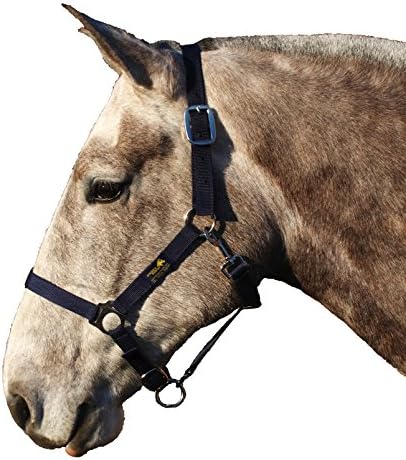 Snuggy Hoods Head Collar/ Horse & Pony Halter (Small/ Pony) - 4 Sizes - Navy