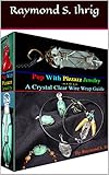 Image de Pop With Pizzazz Jewelry: A Crystal Clear Wire Wrap Guide (English Edition)