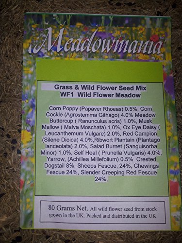 Gras & Wildblumensamen. Traditionelle Wiesenmischung 80 Gramm. MeadowMania Heimische Samen. Bedeckt bis zu 20 m². - 2