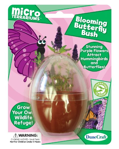 Price comparison product image Dunecraft Blooming Butterfly Bush Science Kit