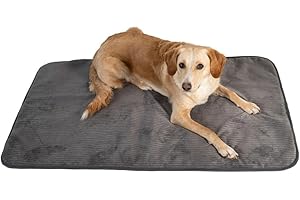MyBestBuddy Hundematte grau Basic 120x70 cm XL mit weichem Stoff extra für Haustiere - 40°C waschbar, allergikerfreundlich - Hundekissen BZW. Hundebett für sehr große Hunde, 120 x 70 cm