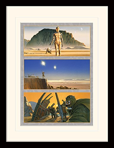 Star Wars (Tatooine: The Saga Begins Memorabilia, Multi-Colour, 30 x 40 cm