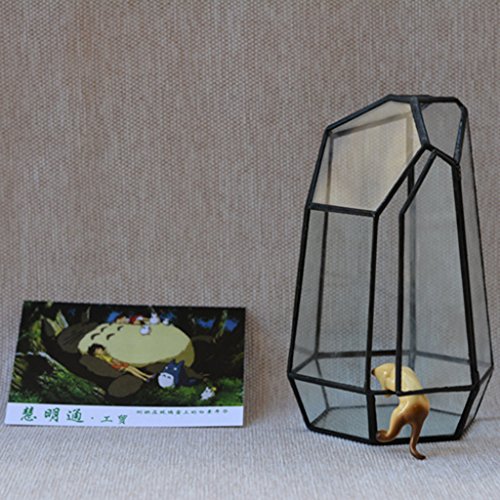 Irreguläre Mini Glasterrarium Geometrisches Glas Sukkulente Pflanzgefäß Haus Dekoration – 12 x 12 x 19cm - 8