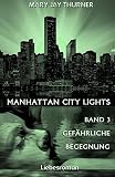 Cover zum Buch Gefährliche Begegnung